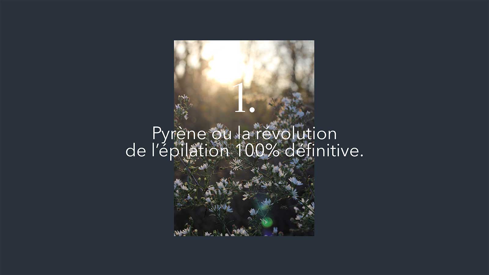 Pyrène : Révolution de l'Épilation 100% Définitive